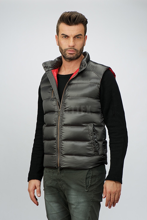 Z29UX col.0091 F man